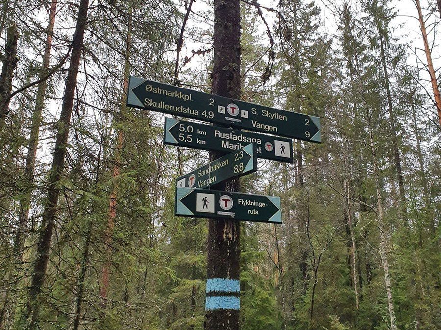 Det er faktisk desember, men bare&nbsp;stier…