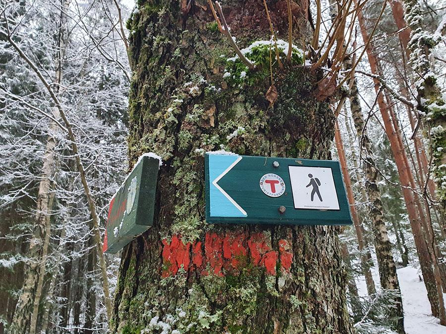 Noen ganger blir turen mye bedre enn du&nbsp;håper!