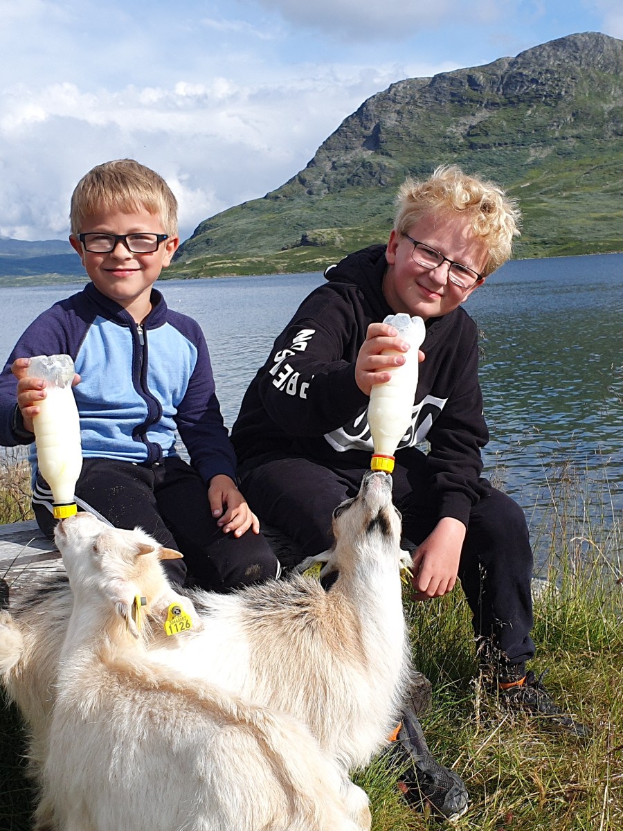 Sommerferie på Iungsdalshytta til&nbsp;DNT