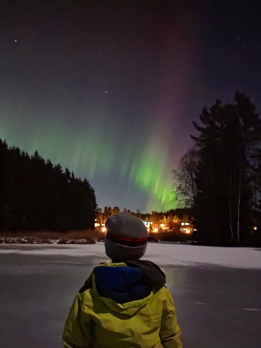 En strava hver dag i ett år – hvordan gikk&nbsp;det?