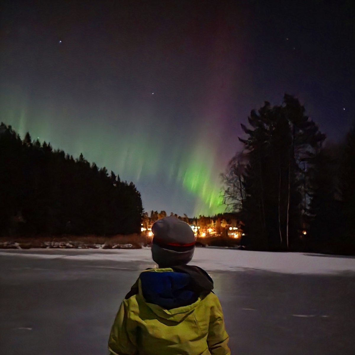 En strava hver dag i ett år – hvordan gikk&nbsp;det?